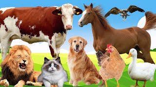 Cute little Farm animals: Cow, Sheep, Monkey, Lion, Cat, Dog, Elephant #animalsounds #animals