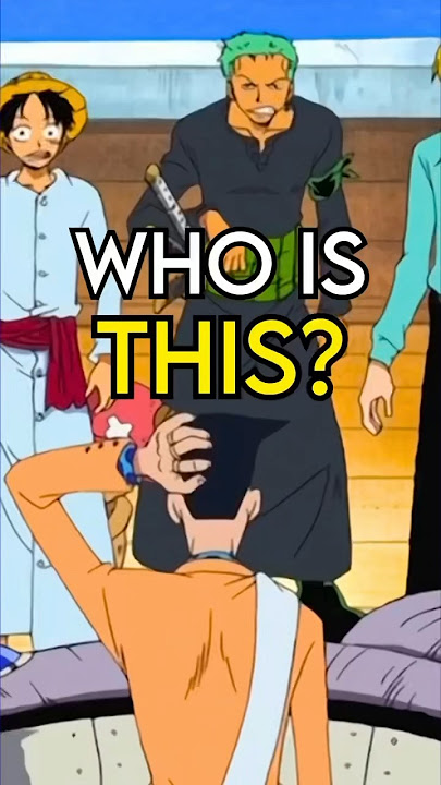 Who is this SECRET One Piece Character?