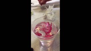 How To Paint Marble Color Glass Eyes For Crafts Video Tutorial