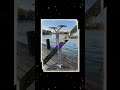 T2 Max Solar-Powered Mosquito Killer Lamp | Outdoor Lighting & Charging All-in-One