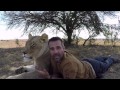 Lion Jealousy? Meg &amp; Amy Moment Explained | The Lion Whisperer