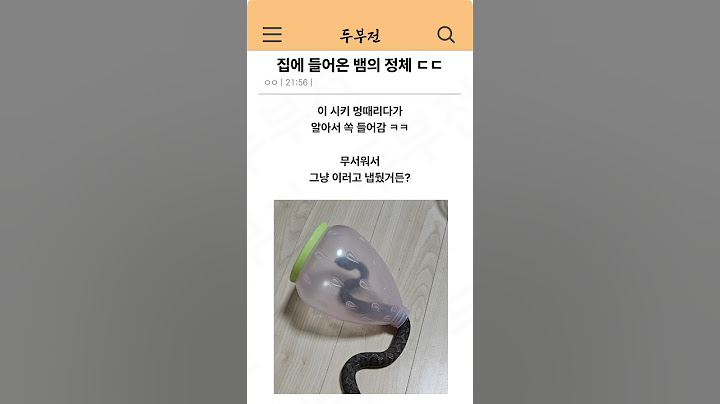 집에 들어온 뱀의 정체 ㄷㄷ