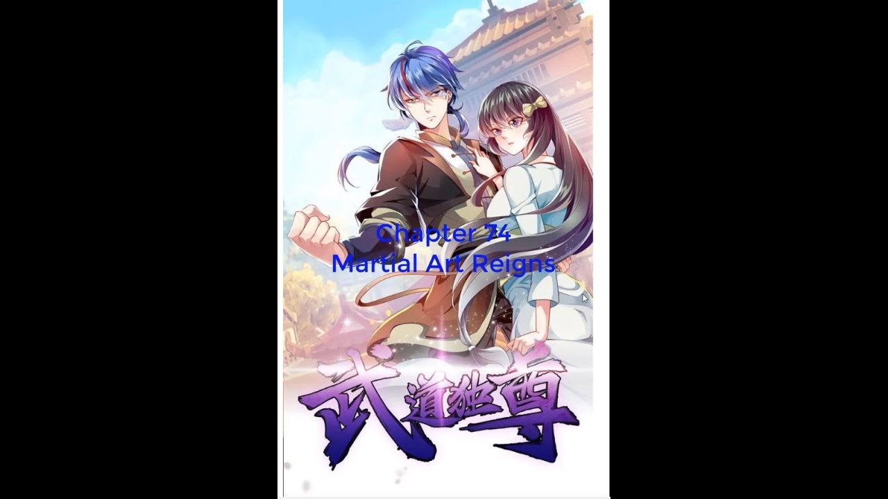 Martial Arts Reigns Novel