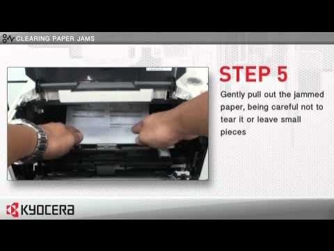 Kyocera флажок печки. Mk-3150. Принтер kyocera p2335dn ошибки. Ecosys m2535dn. Kyocera ecosys fs-920.