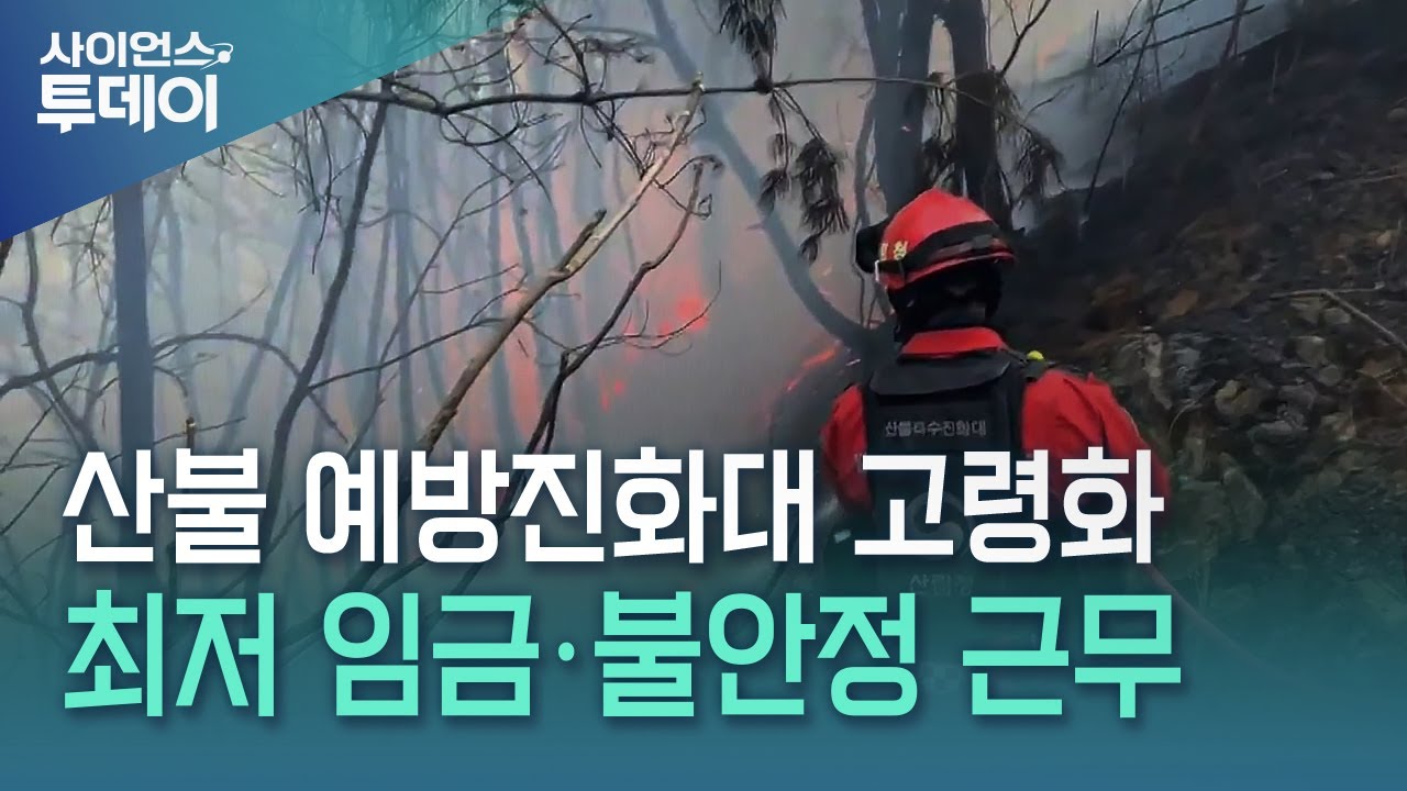 목숨 잃은 산불진화대...법 제정만으로 희생 막을 수 있나 / YTN 사이언스