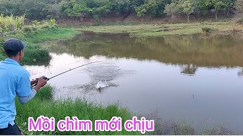 Câu cá lóc_Cái ục nhỏ nhưng lên hàng mỏi tay @Hữunghị tv