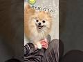 また僕だけお留守番?