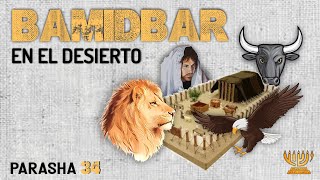 el SECRETO del campamento de Israel / 4 x 3 / Parashat Bamidbar