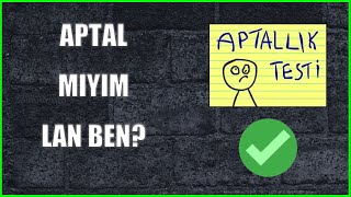 Ben Bi̇r Aptalim