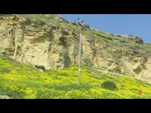Spring in Cyprus,