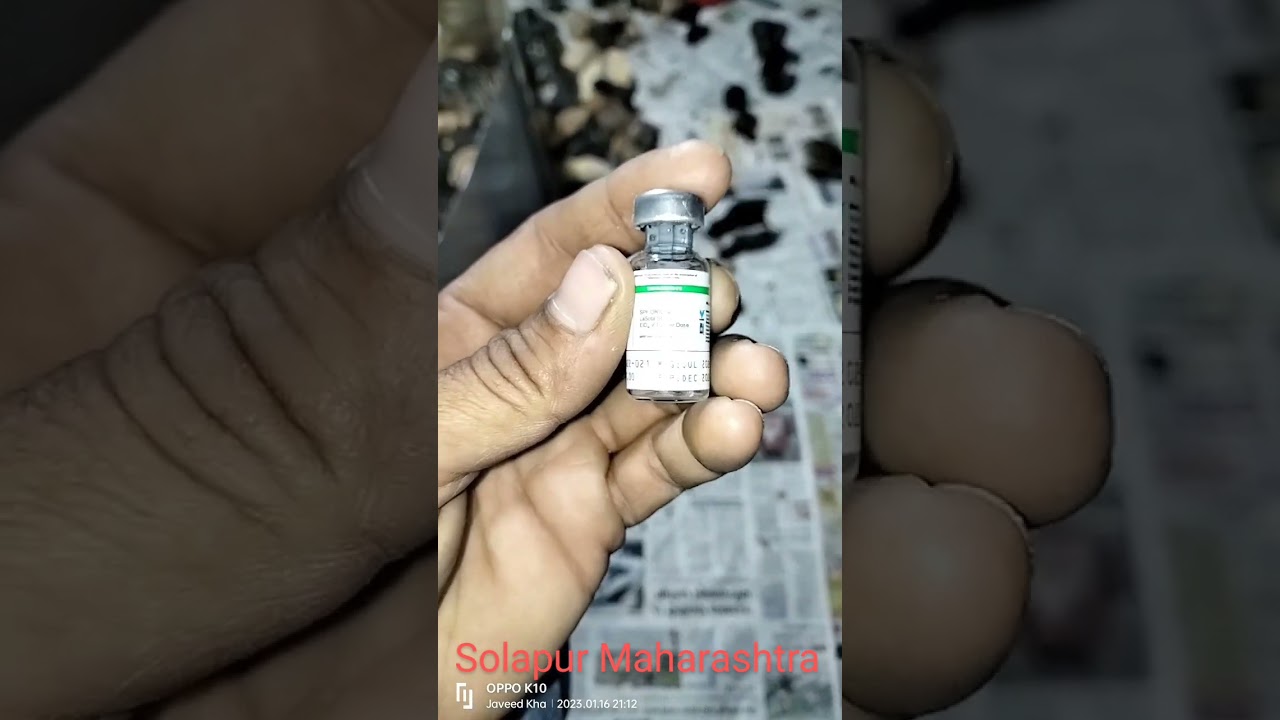 # 7 days vaccination desi chicks Chaudhari organic poultry farm