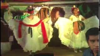 Son Jarocho - La Bruja. Palapa Reyna Veracruz Mexico