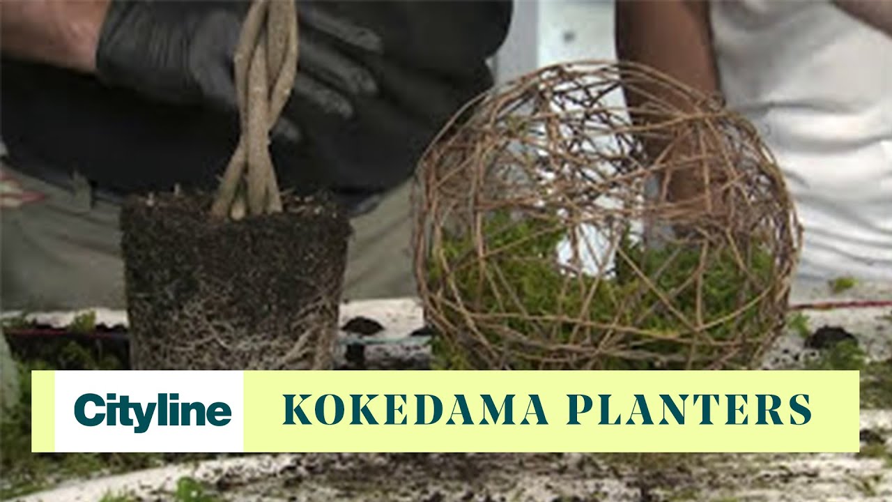 DIY kokedama planters - YouTube
