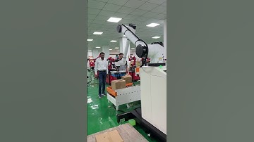 Palletizing robot#six-axis robot#industrial robots