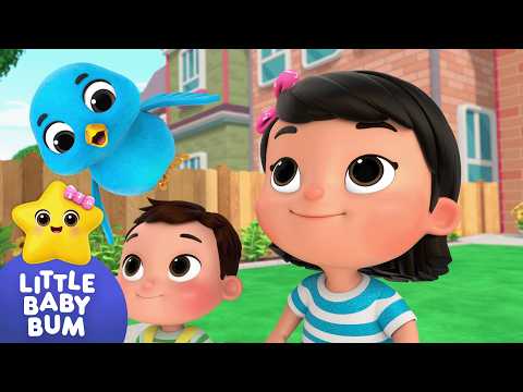 🐥 Two Little Dickie Birds & Top Toddler Songs 🌈Little Baby Bum🌈Happy Kids