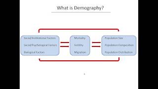 What is Demography?