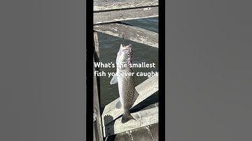 If you sub to me I will sub to you just comment that u subbed #subsribe