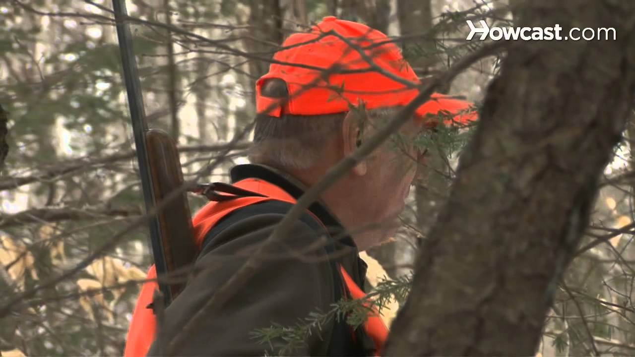 How to Understand Hunting Regulations Hunting YouTube