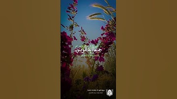 #تلاوة من #سورة_النور بصوت #سعد_الغامدي #قرآن #قرآن_كريم #آيات #quran