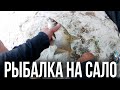 Рыбалка на Сало и Пенопласт с Чесноком Лещ Плотва | fishing for bacon