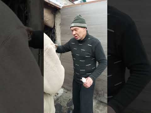 Пьёт технический спирт