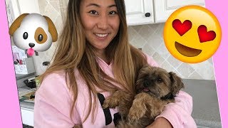 LIZZY SHARER AND OTTER SHARER CUTEST MOMENTS ❤️🐶| COMPILATION