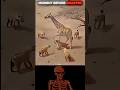 The Impossible Hunt Watch the Moment the Hunt Begins#funny #shortvideo