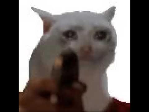 Коты с эмодзи мем Залупа а не кот!!! - YouTube