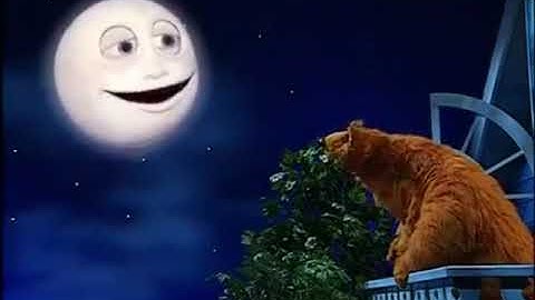 L'orso Bear e il recupero crediti