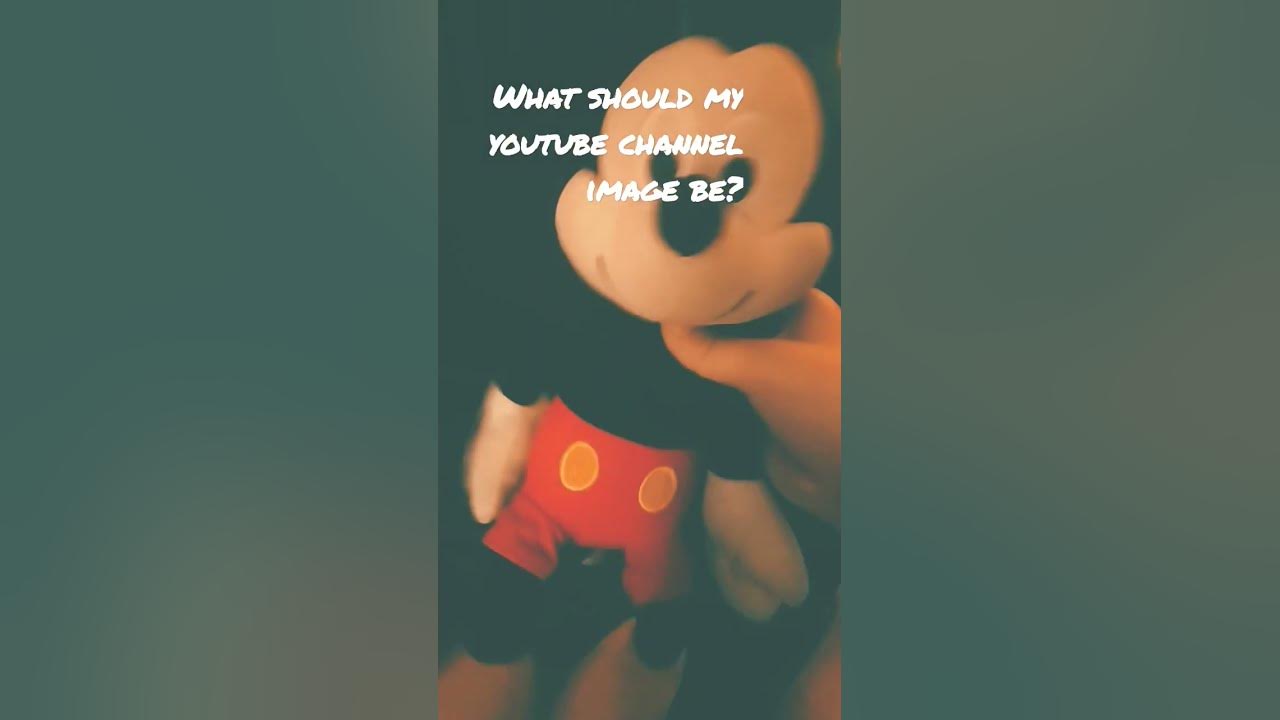 MonkeyAndFriendsPlushies BobEsponjaPeluches715 What Should My Youtube what-should-my-youtube-channel-be-about-youtube