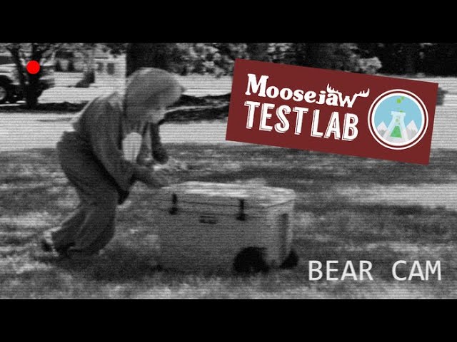 YETI Roadie 24 Cooler - Moosejaw