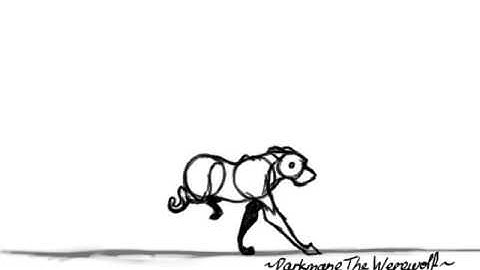 Camera Rotation run cycle | Darkmane The Werewolf