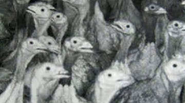 7. Running With Scissors - Who Knows