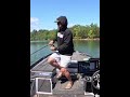 Days Chasing Bass on Beds: 7'1" Medium Fenwick World Class #fenwickfishing #bassfishing #fishing