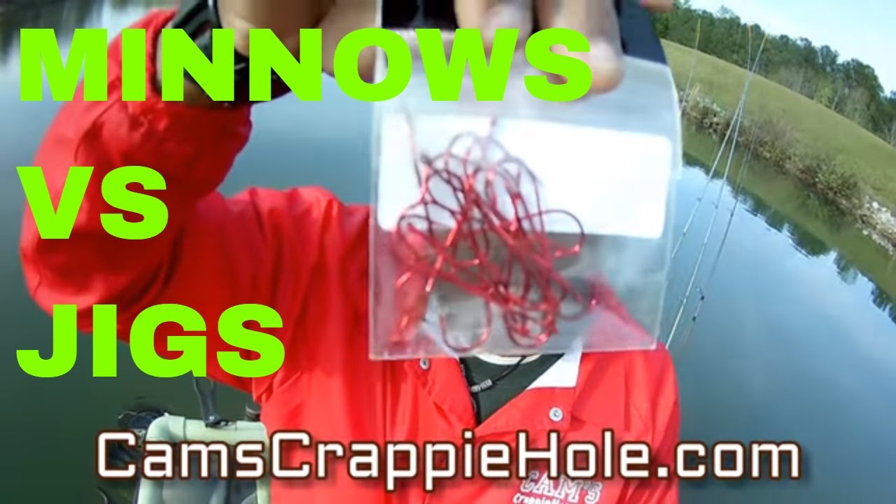 20 pc 1/0 Cam's Nasty Bend Minnow Red Hooks – Cam's CRAPPIE HOLE TACKLE &  APPAREL