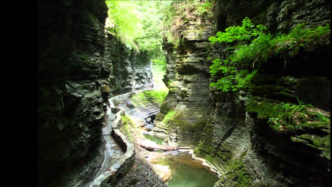 Chopin Nocturne In E Minor