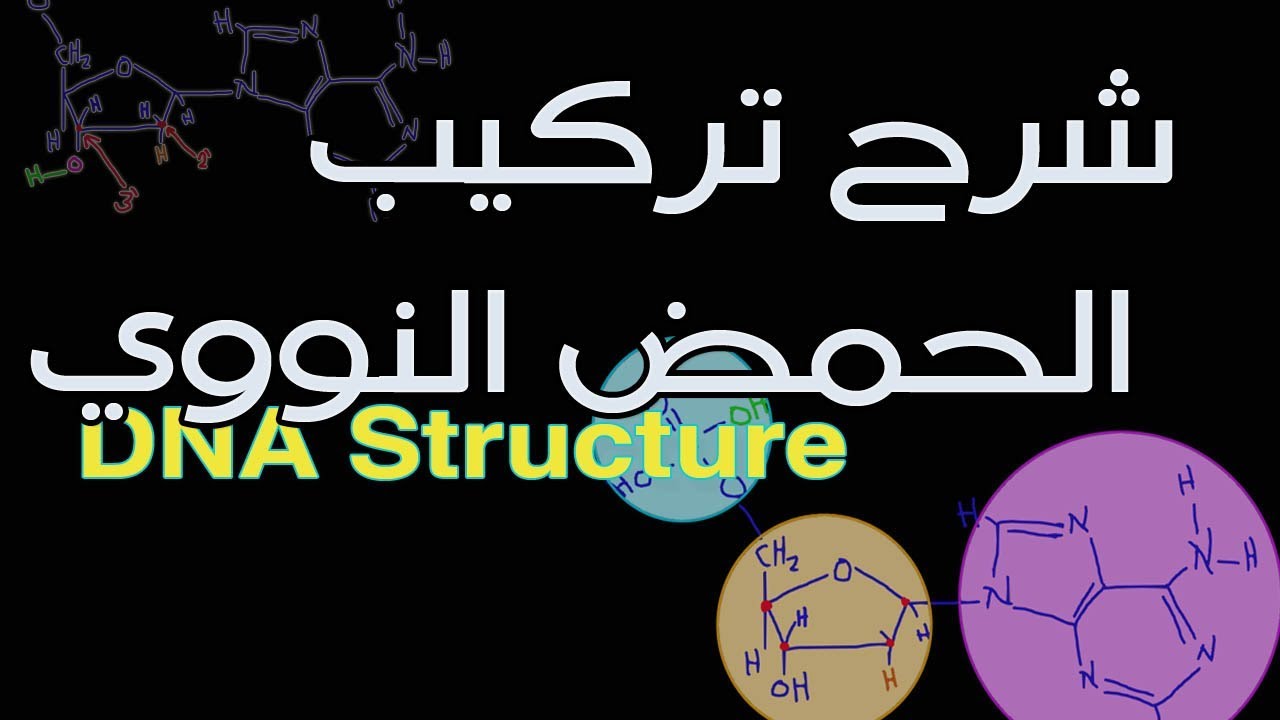 ٩٠ ٦٠ لدى سم زجاجي طوله عامل لوح وعرضه لدى عامل