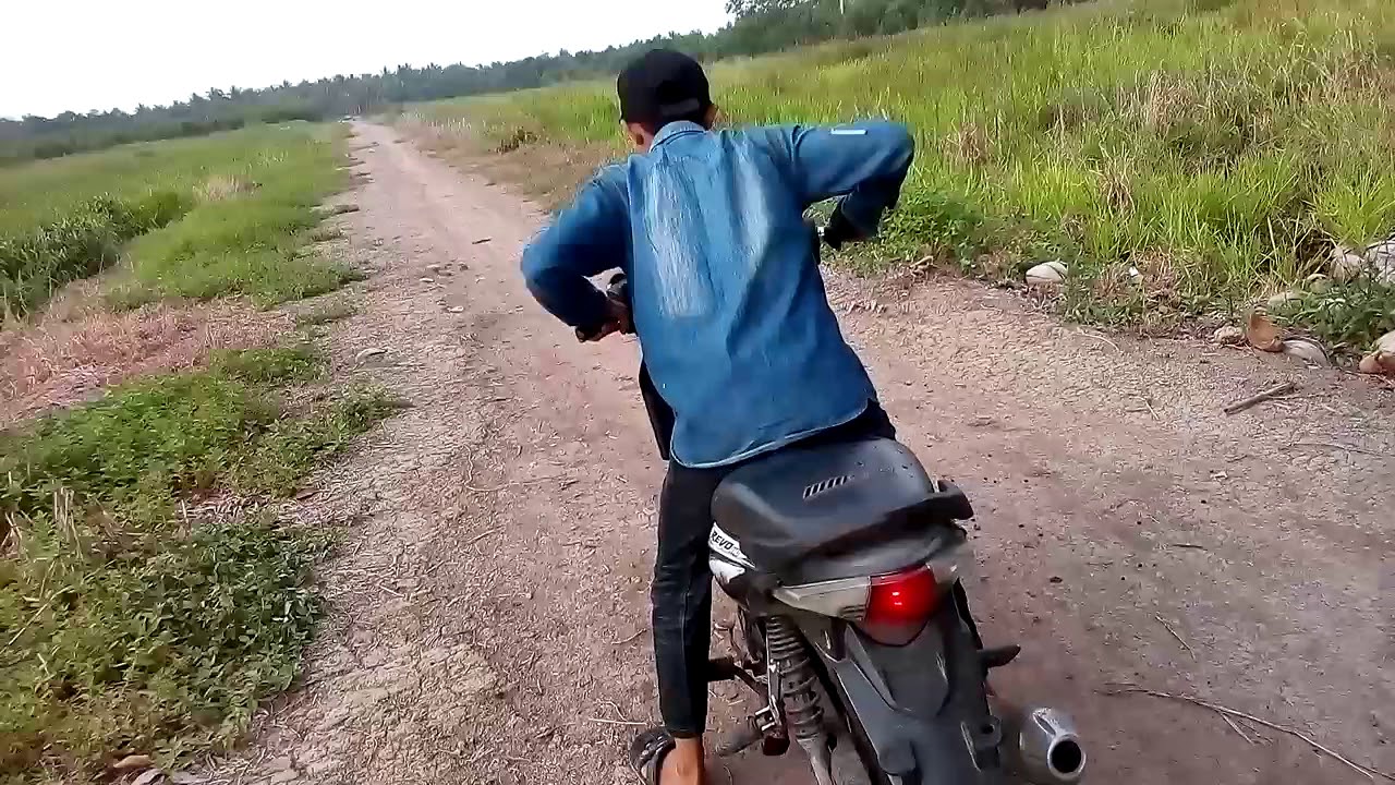 Joki Baru Di P Burung Youtube