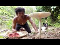 Primitive Delicious: Wild Mushroom Hunting and cooking with Eggs | Primigle Life