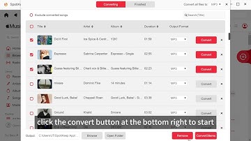 How to Convert Apple Music to MP3 - Video Tutorial