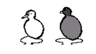 Birbs dancing to Scat-Man for 3 minutes and 25 seconds