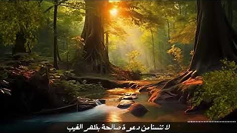 القارئ الشيخ    ماهر المعيقلي سورة البقرة     Sourat Albaqarah  Sheikh  Maher Al Muaiqly   Copy