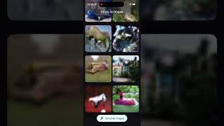 Training GANs & VAEs with MLX for iOS
