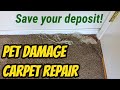 Pet Damage Carpet Repair