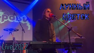 Лунный цветок (Live 2022)