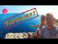 ОПАСНЫЙ ЗАПАДный КРЫМ. Оленевка. Тарханкут.