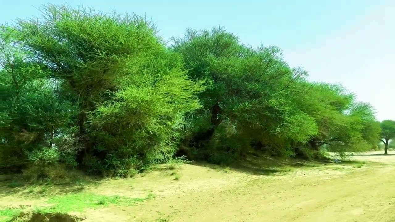 اجواء شتويه وكشته ترد الروح من اجمل الاماكن احبها / ابورائد الشيبي