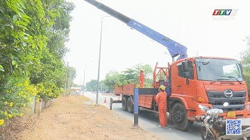 Bảo vệ an toàn hành lang lưới điện cao áp | Điện và cuộc sống | TayNinhTV
