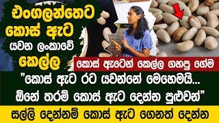 කොස් ඇට පිටරටට විකුණලා සල්ලි හොයමු | Jackfruit Export Business