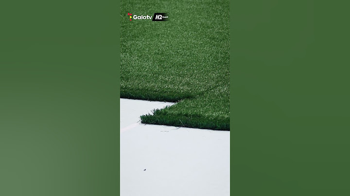 NOVO GRAMADO da ARENA MRV!